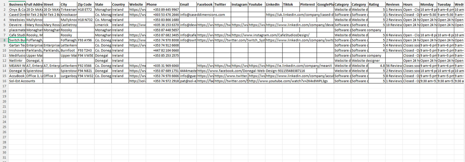 Preview of Ireland software and tech companies sample data fields