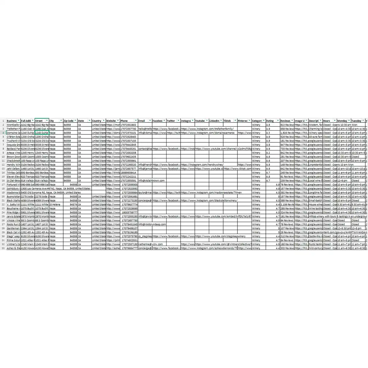 Preview of Napa Valley winery B2B contact database data fields