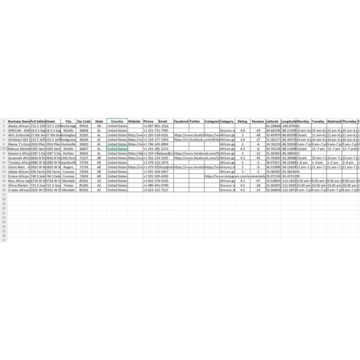 Preview of USA African grocery stores sample data fields
